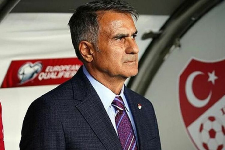 Şenol Günəş, Türkiyə millisinin baş məşqçisi