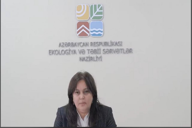 Milli Hidrometeorologiya Xidmətinin rəisi Umayra Tağıyeva