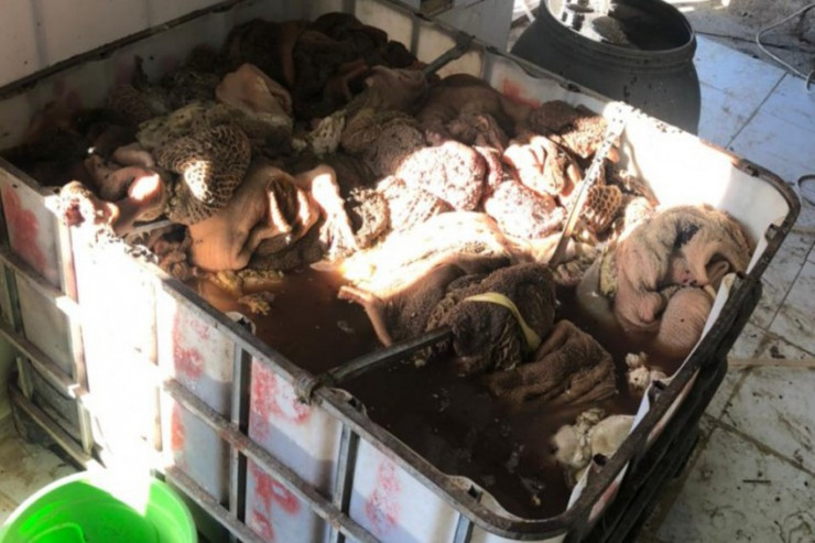 Bakıda mənşəyi bilinməyən ət aşkarlandı 