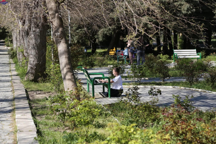 Bakıda yeni Nəbatat bağı salınacaq