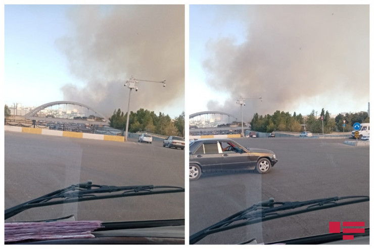 Bakıda yaşıllıq ərazidə baş verən yanğın MƏHDUDLAŞDIRILDI  - YENİLƏNİB  - VİDEO 