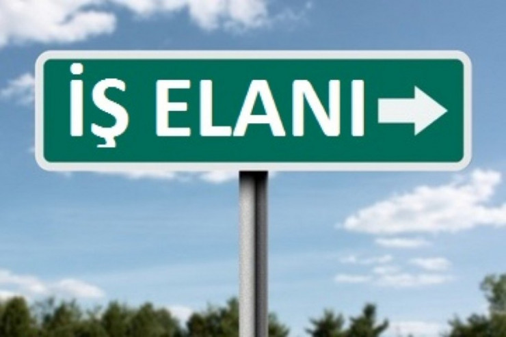 Azərbaycanlı müğənni işçi axtarır - VİDEO 