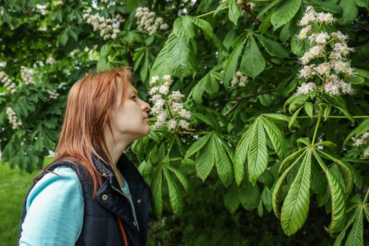 Koronavirusun yeni "super-yayıcısı"  TAPILDI 