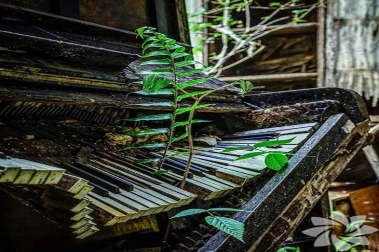 Dünyanın müxtəlif şəhərlərində maraqlı təbiət  FOTOLARI 