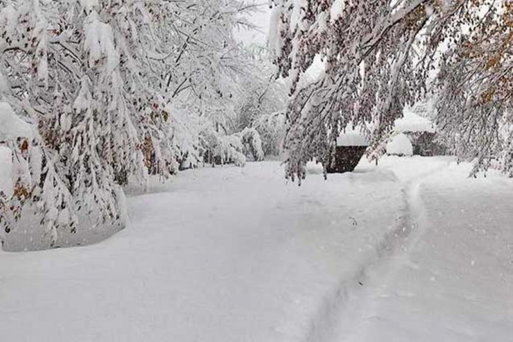 Bu əraziyə 42 santimetr qar yağıb – FAKTİKİ HAVA 