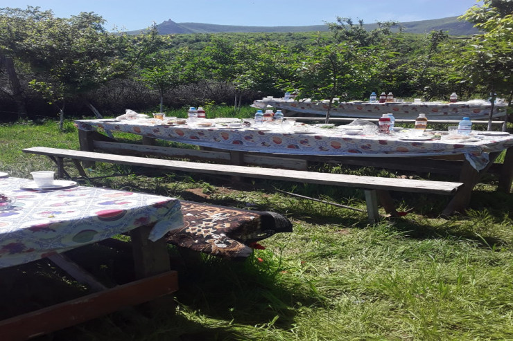 Karantində yas mərasimi