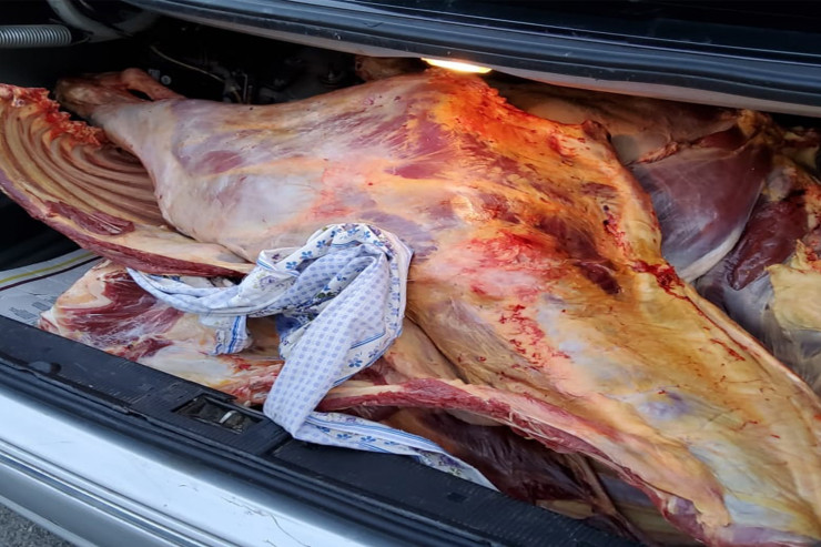 200 kilodan çox mənşəyi məlum olmayan heyvan əti aşkarlandı -  RƏSMİ  