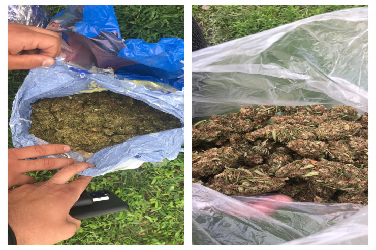 Ələ keçirilən marixuana