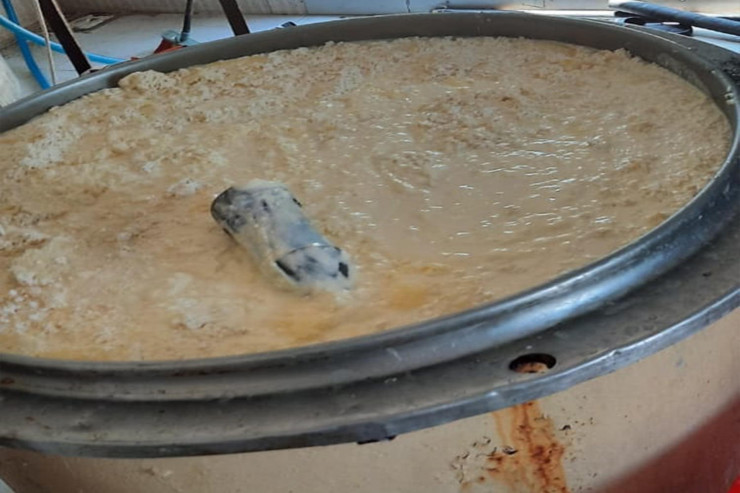 Süd məhsulları istehsal edən müəssisənin fəaliyyəti dayandırıldı