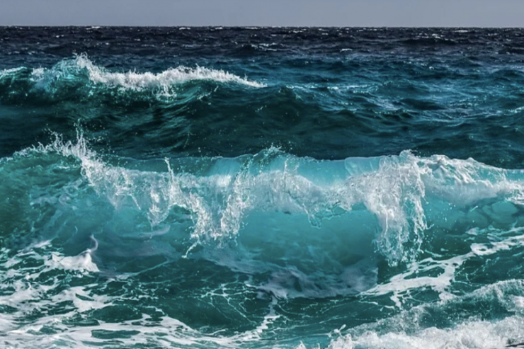 Okean insanları viruslardan qoruyur:  tədqiqatın gözlənilməz nəticələri 