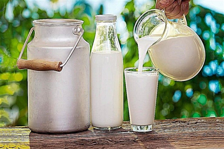 İnək, camış, qoyun və keçi südü - Hansı daha faydalıdır?  