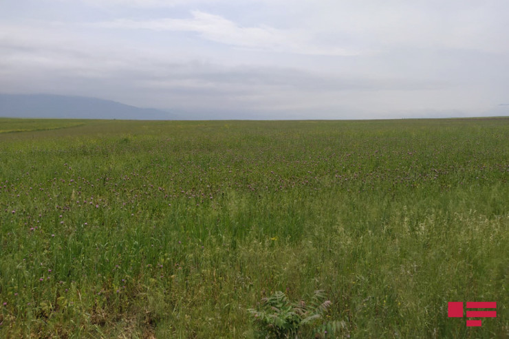 Sabah hava necə olacaq? -  PROQNOZ 