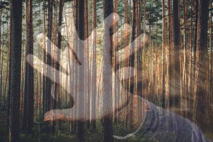 Qadını meşədə ölümlə hədələyərək maşına saldı: 4 İL YARIM HƏBS... 