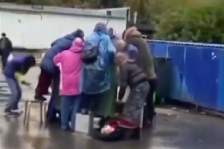 Qocalar zibil qutularına hücum etdilər - VİDEO 