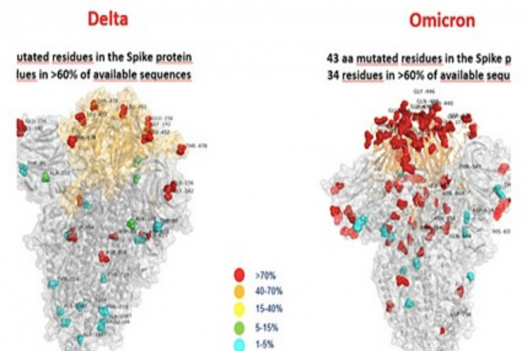 “Omicron” ştammının  ilk şəkli   yayıldı