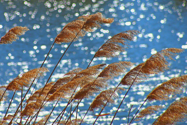 Havanın pis keçməsinin səbəbi  AÇIQLANDI 