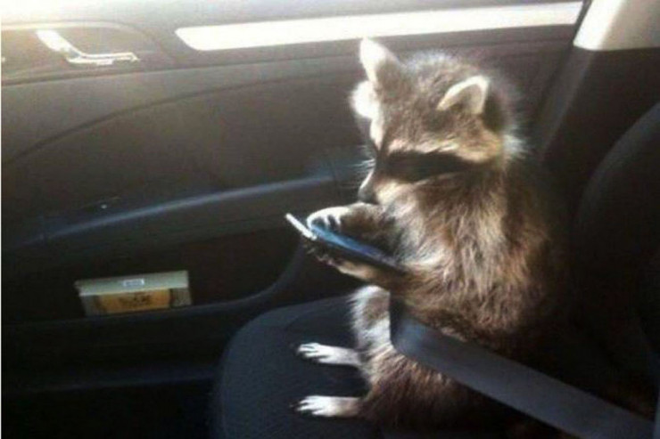 Şənbə gülüşləri - FOTOLENT 