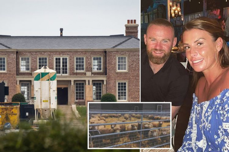 Runi qoyunlardan ŞİKAYƏT ETDİ 