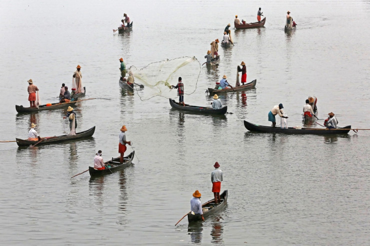 Kasıb balıqçılar adam ağırlıqda balıq tutub varlandılar