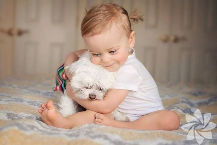 Uşaqların heyvan sevgisi  FOTOLARDA  