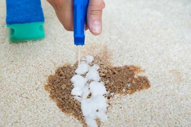 Xanımların  DİQQƏTİNƏ   – Xalınızdakı ləkələri bu vasitələr təmizləyəcək