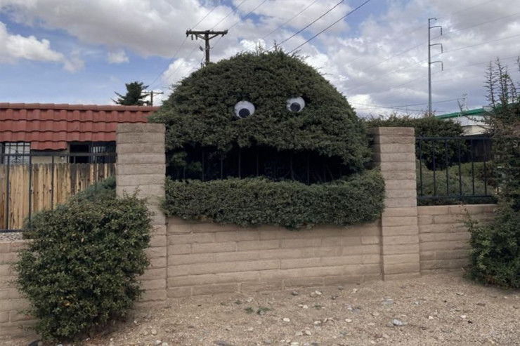 Adi şeylərdən sənət əsəri yaradırlar-FOTOLENT 