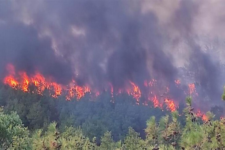 Çanaqqala yanır -  SON DƏQİQƏ  
