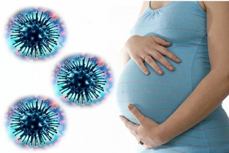 Hamilə qadınlara koronavirusla bağlı  ŞAD XƏBƏR  