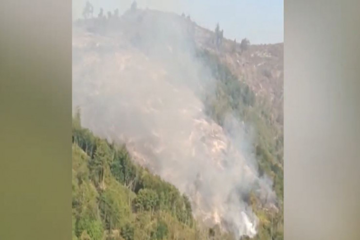 Qəbələdə yanğın