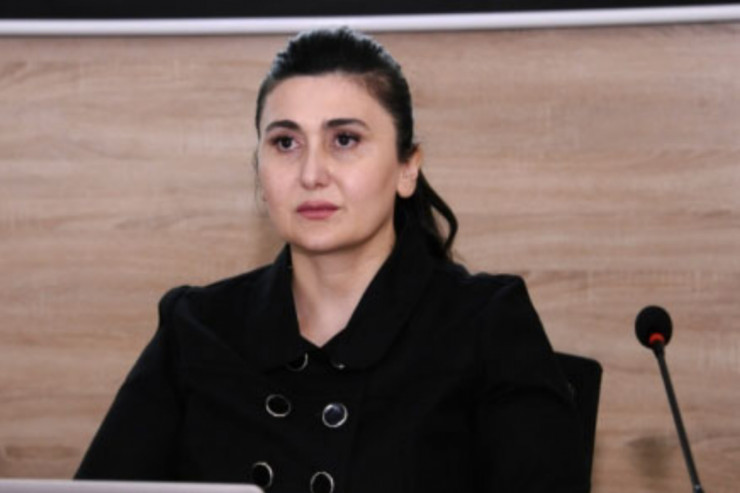 Ekologiya və Təbii Sərvətlər Nazirliyi yanında İctimai Şuranın sədri Mələk Şükürova