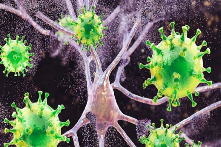 "Qalatasaray"ın keçmiş prezidenti koronavirusdan vəfat etdi