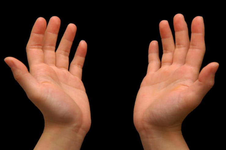 Ovuclarınızı birləşdirin : Sevgi haqqında nələr öyrənəcəksiniz?