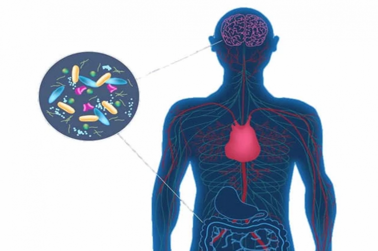 Yeni  XƏSTƏLİK:   Mikroblar insan orqanizmini yeyir