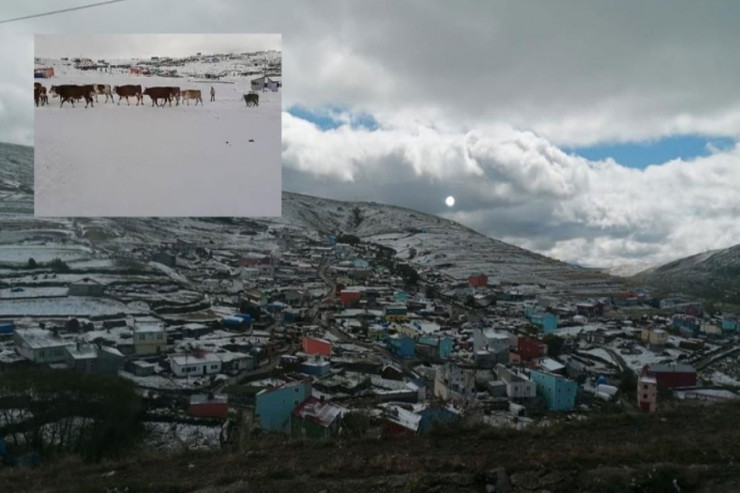 Qar yağdı - Dağlılar geri qayıdır -  FOTO 