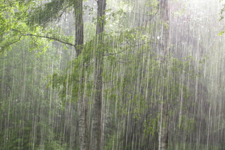 Sabah leysan yağacaq -  PROQNOZ 