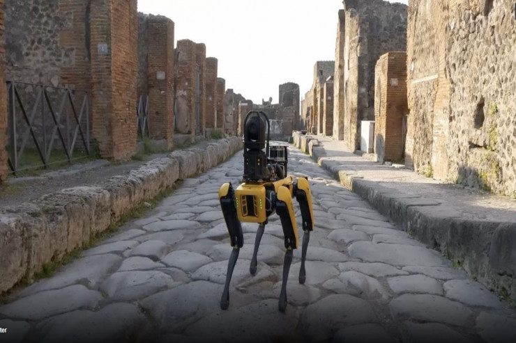 Tarixi abidəni robot it qoruyur -VİDEO 