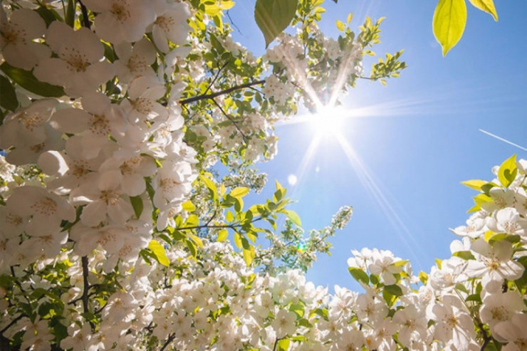 İstirahət günü  hava necə olacaq? - PROQNOZ 