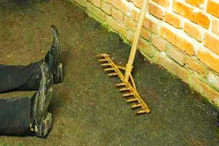 Taxtakörpüdə  DƏHŞƏT:   Əmisini dırmıqla öldürdü