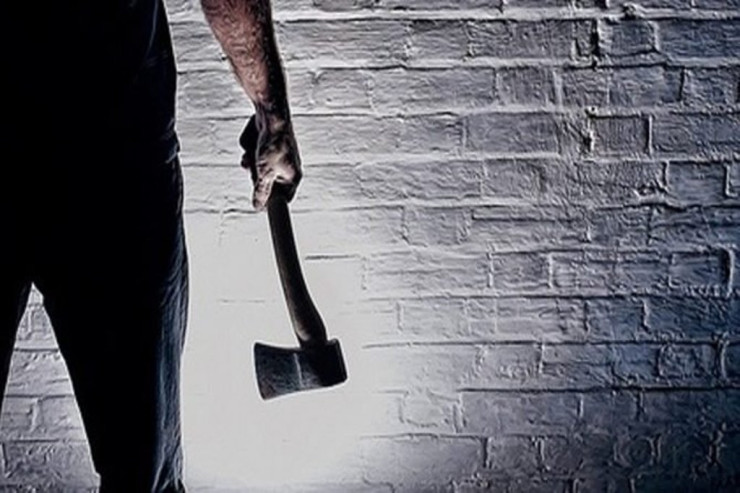 Əmilərini qətlə yetirən qardaşlar yaxalandı