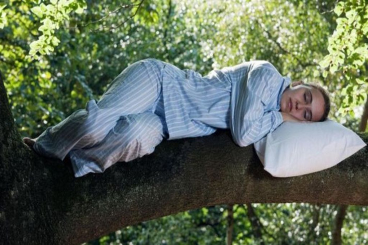 Yuxu ilə bağlı doğru bildiyimiz  YANLIŞLAR