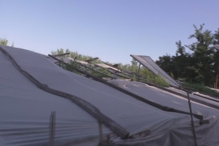 Narkotik becərilən istixana