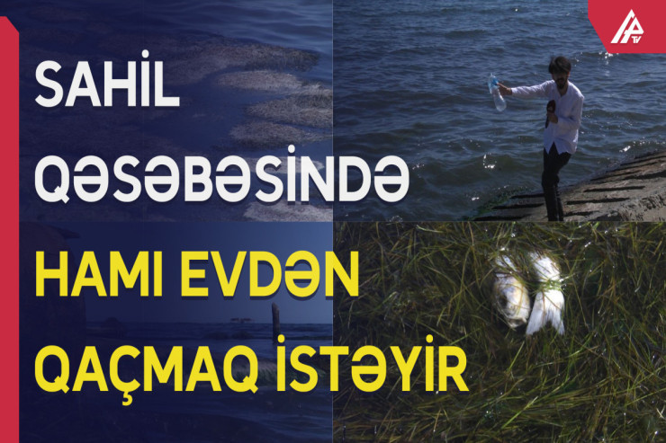 Böyüklər boğulur, uşaqlar xəstəlik tapır - Bu qəsəbədə nə baş verir?  - VİDEO