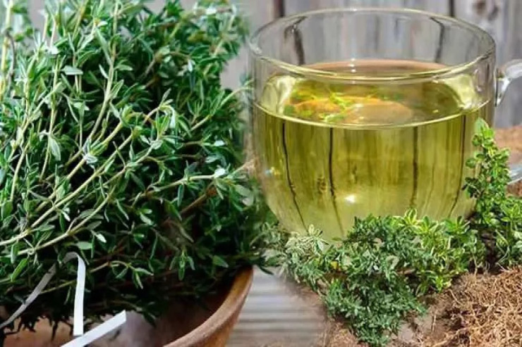 Kəklikotu çayının bilmədiyimiz faydaları