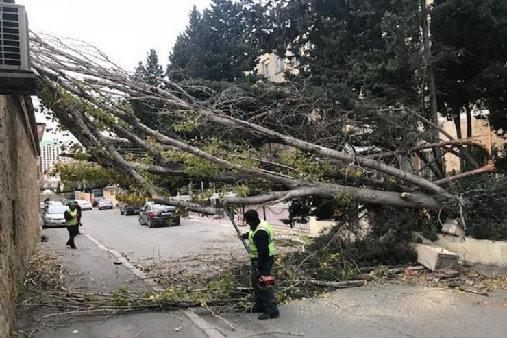 Güclü külək Bakıda fəsadlar törətdi - AÇIQLAMA 
