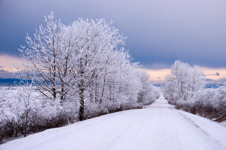 Azərbaycana qış bu tarixdə GƏLİR - Böyük Çillə BAŞLAYIR 