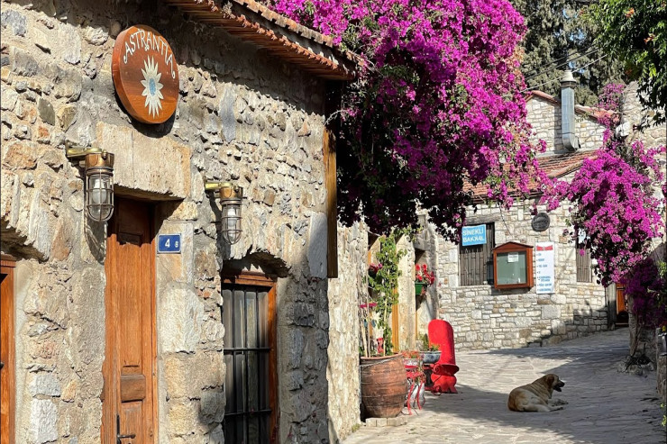 Tarixdə ilk tibb mərkəzi harada yaranıb?