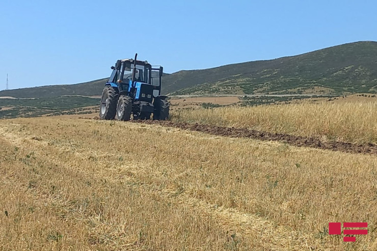 Sabahdan fermerlər üçün bu güzəştlər olacaq