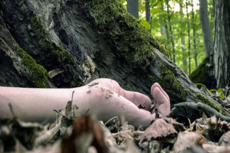 Üç uşaq anasını meşəyə aparıb  GÜLLƏLƏDİ 