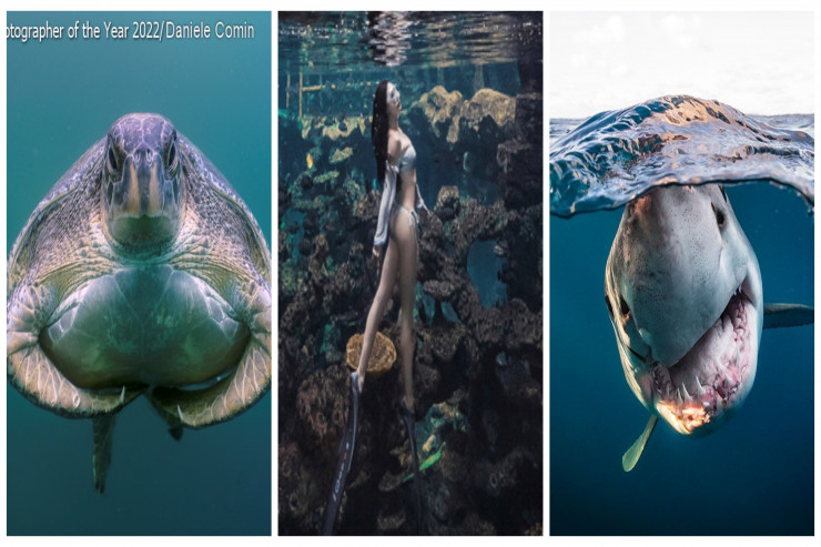 Sualtındakı möhtəşəm GÖZƏLLİKLƏR  - FOTO 