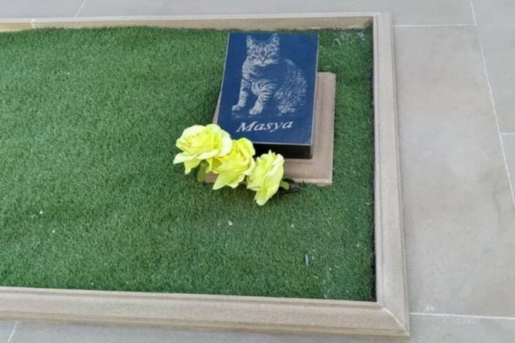 Azərbaycanda pişiyə MƏZAR DAŞI  qoyuldu